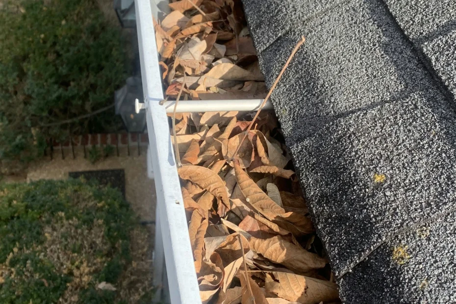 Gutter Cleaning Clifton Forge